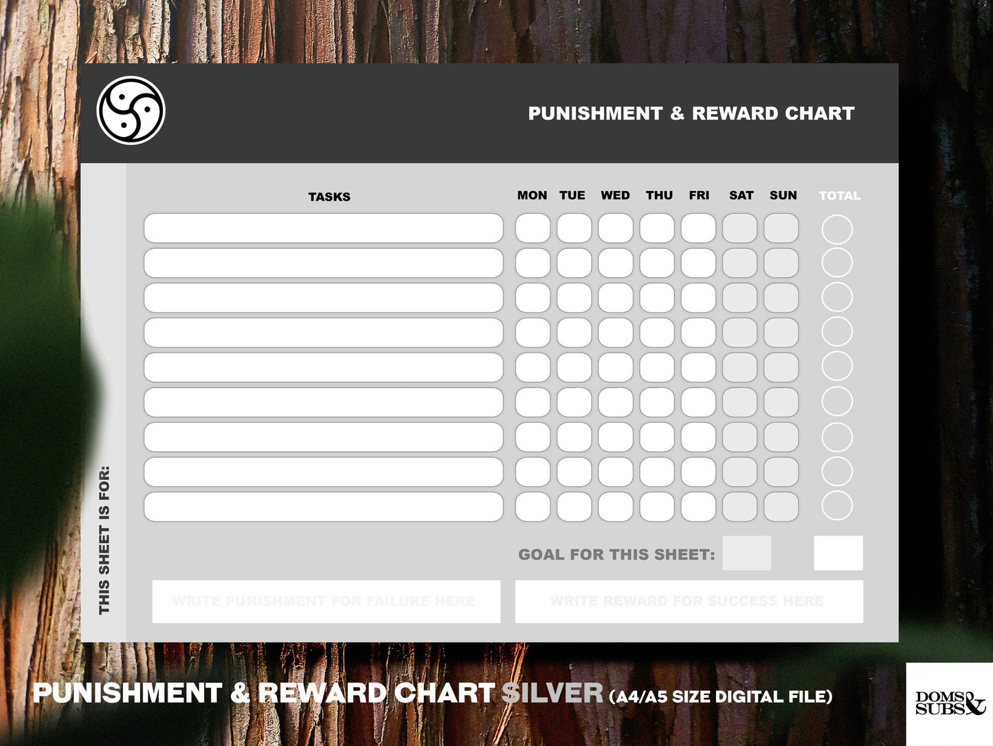 Kink Punishment & Reward Chart (Silver) Kinky Gift